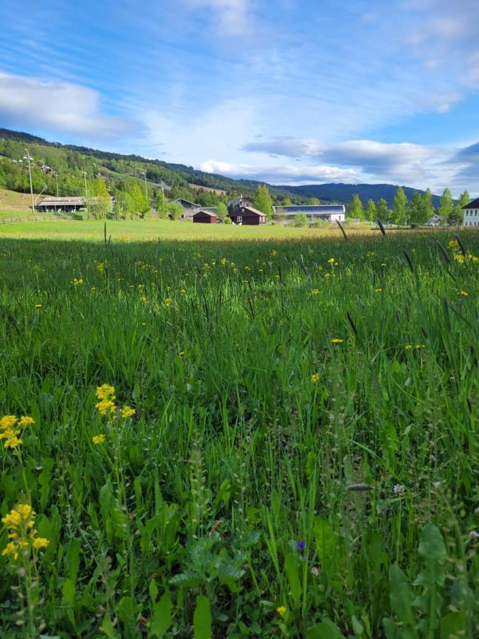 Friends & Family Apartment At Hafjell Alpinlandsby/Oyer Center Esterno foto